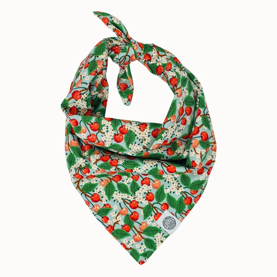 Cherry Dog Bandana | Summer Food Fruit Cotton Pet Accessory: Blue / M
