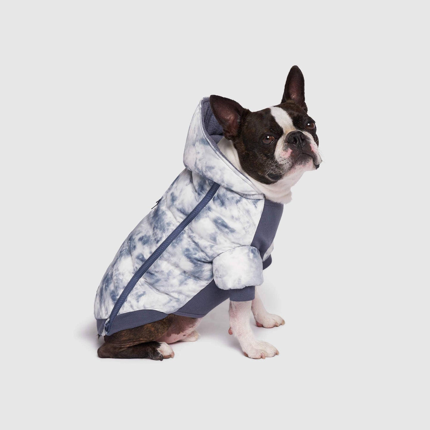 Prism Puffer- Dog Coat: Galaxy / 8