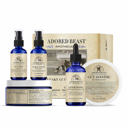 Leaky Gut Protocol - Gut Repair Kit