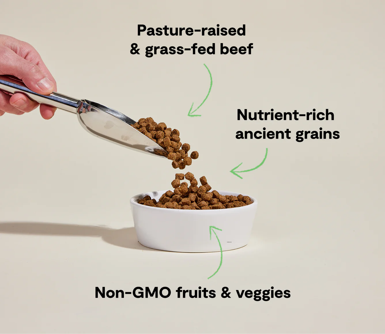 Grass-Fed Beef & Ancient Grains Dog Food 22 lb