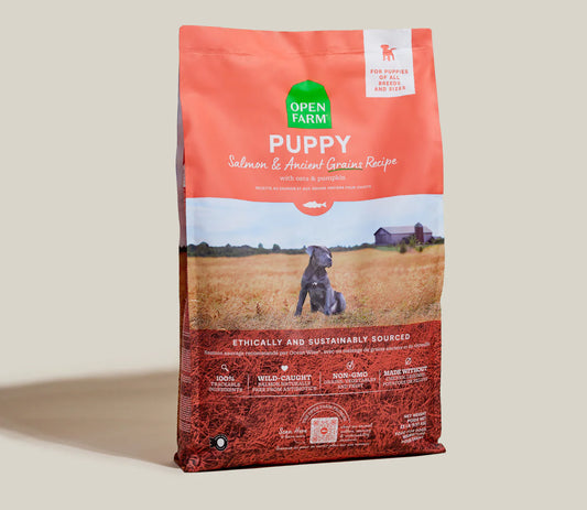 Puppy Salmon & Ancient Grains Dog Food