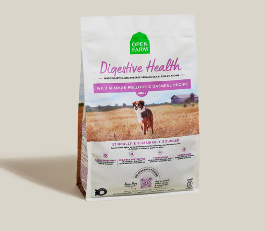 Pollock & Oatmeal Digestive Health Dog Kibble 4lb