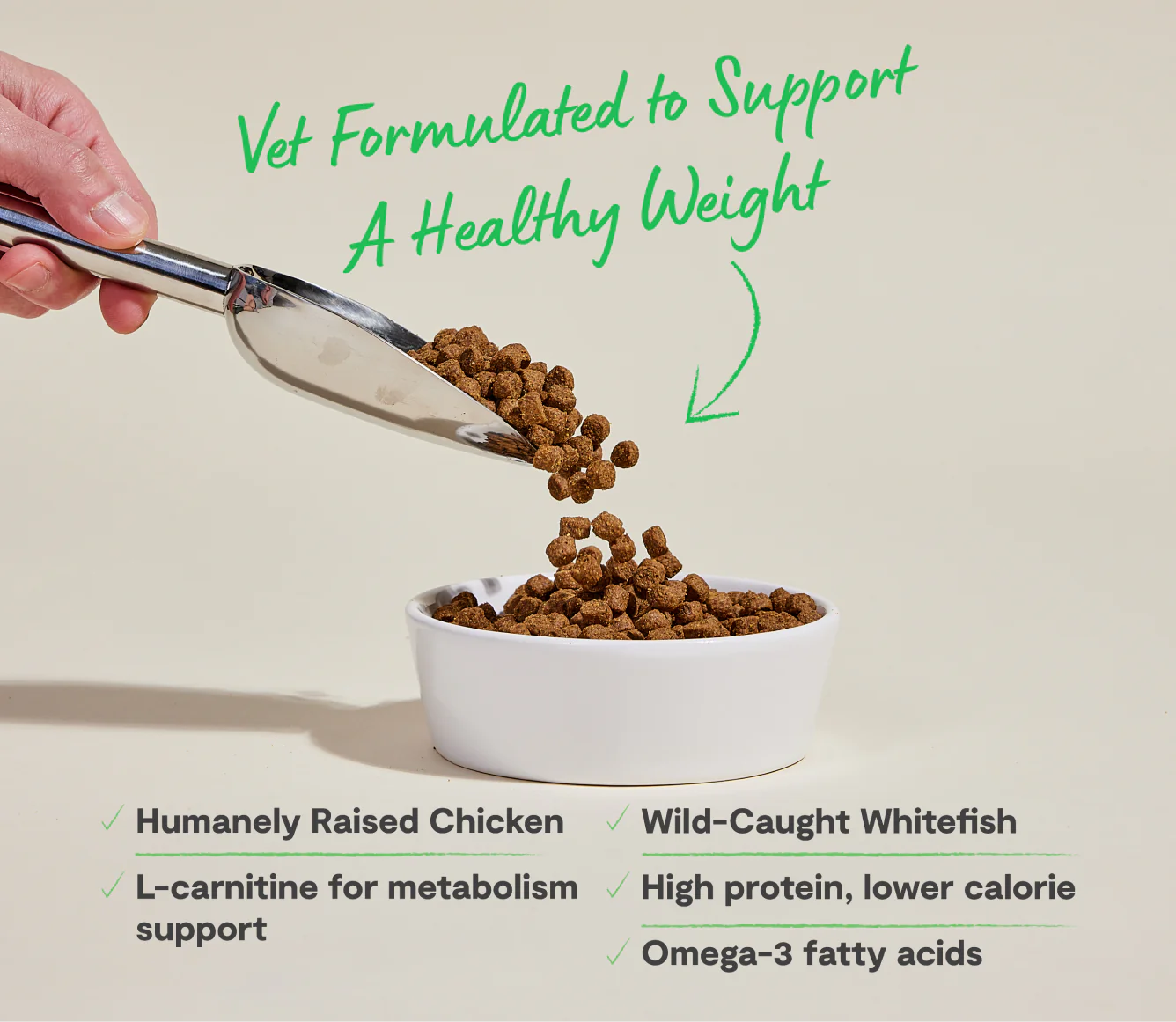 Healthy Weight Chicken & Whitefish Dog Food 4lb