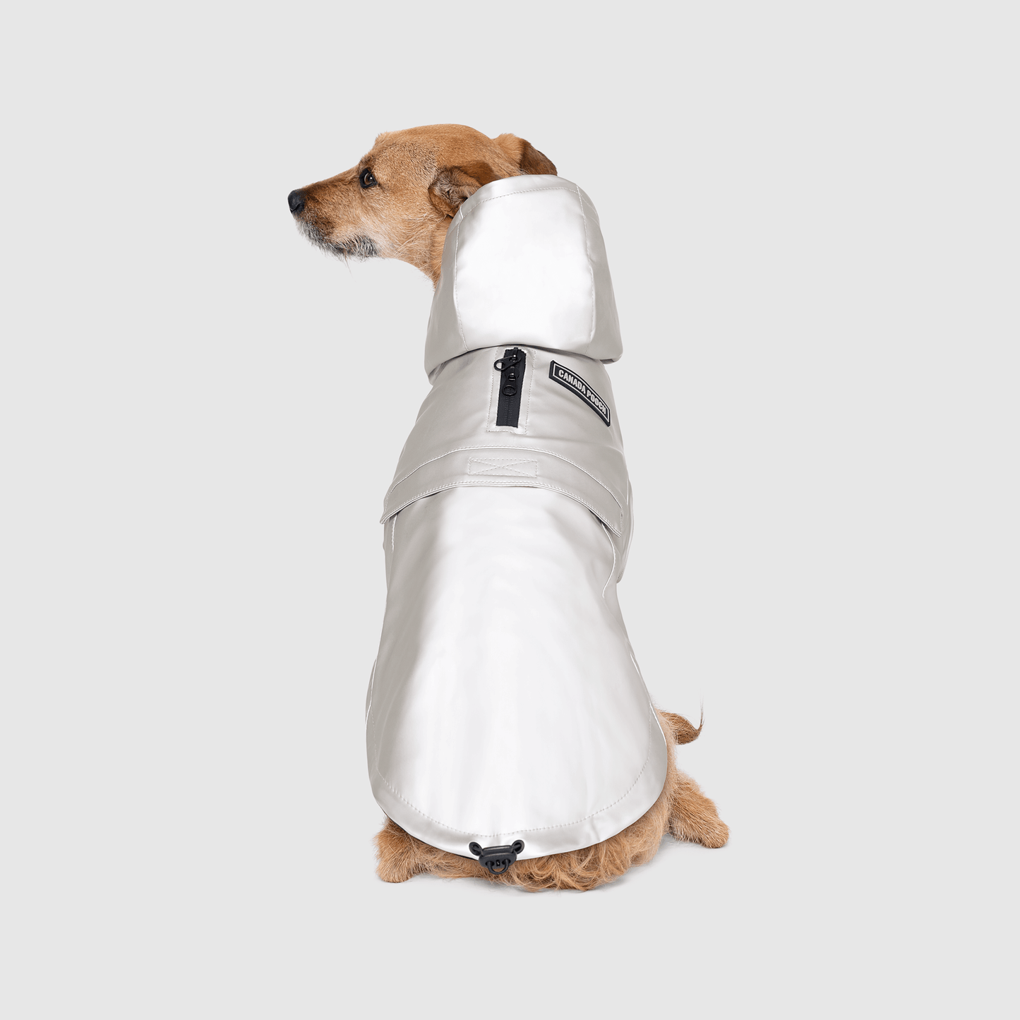 Cold Front Raincoat- Dog Raincoat: Orange / 14