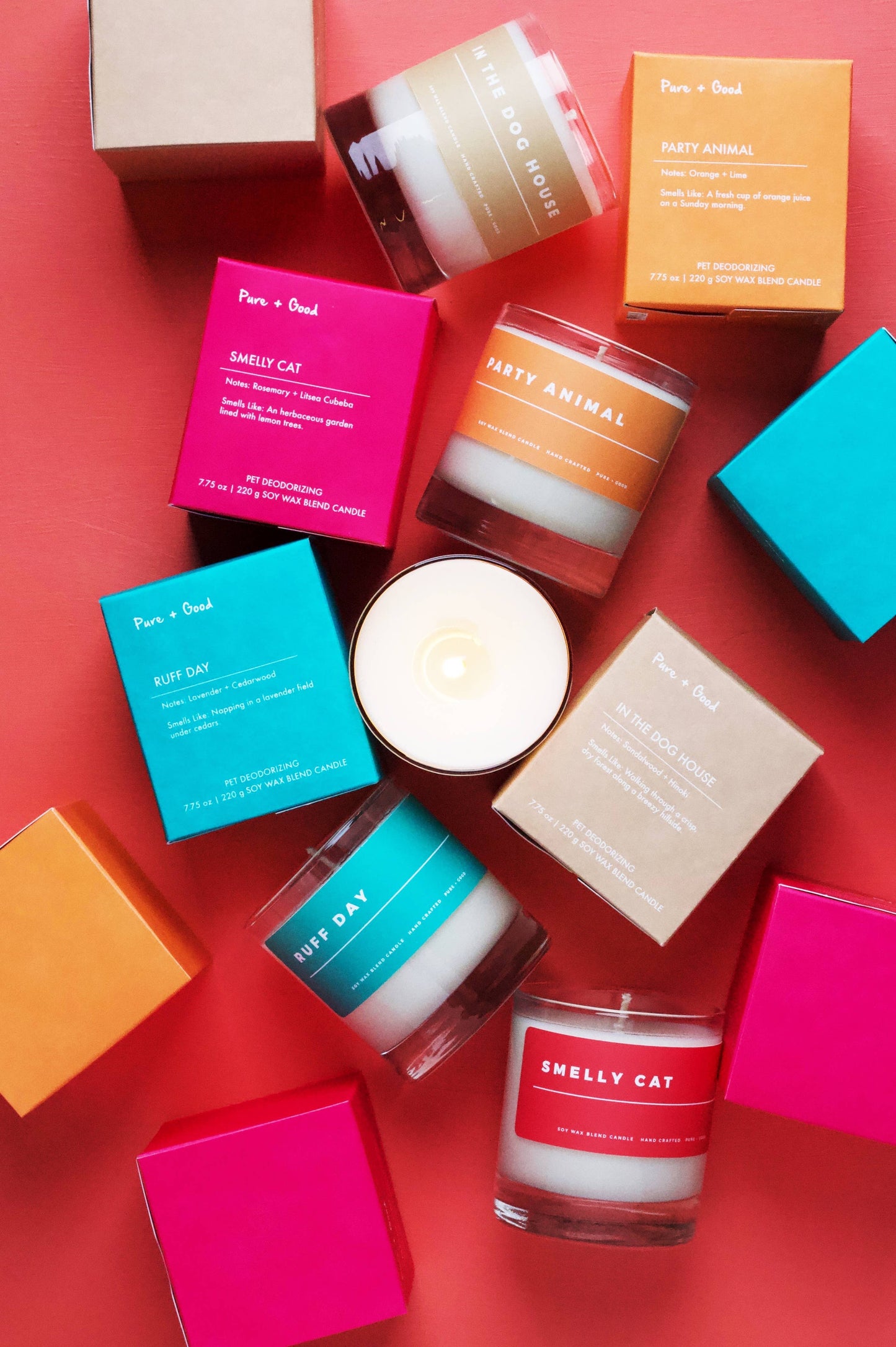 Party Animal: Sweet Orange + Lime, Soy Wax Blend Candle