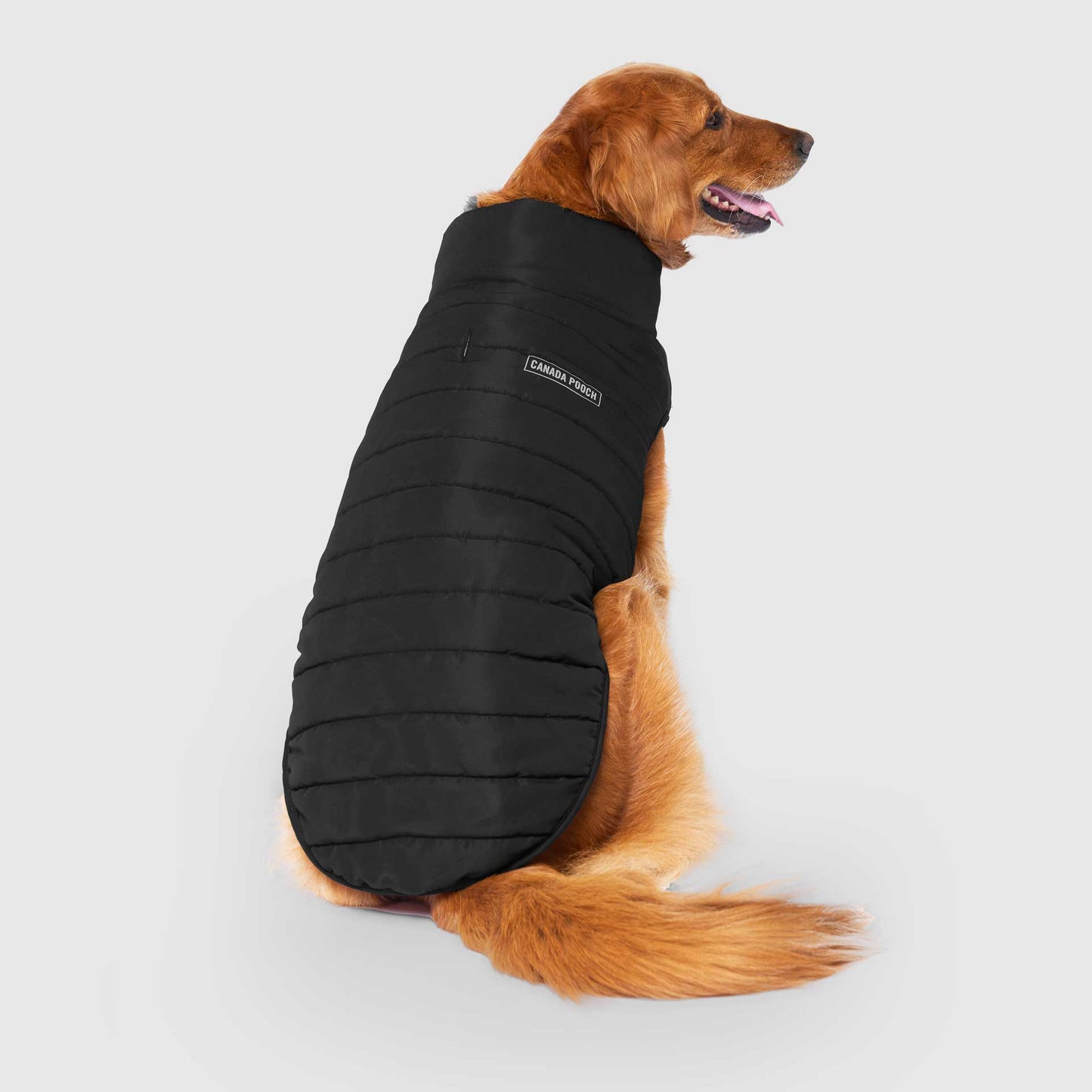 Reversible Puffer Vest- Dog Coat: Pink/Purple