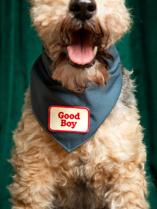 Good Boy Patch