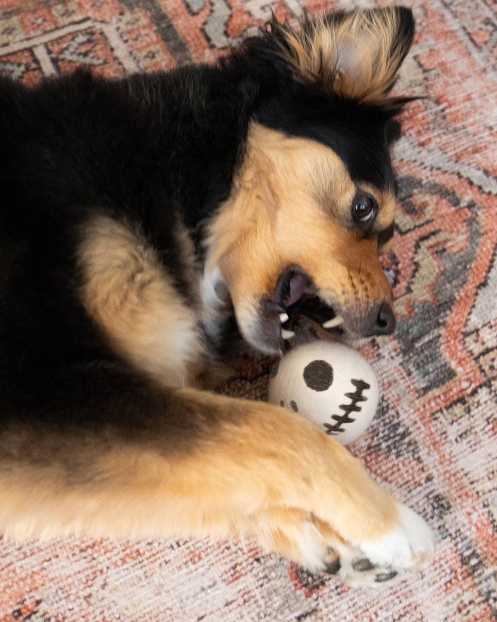 Modern Beast BeastBall: Skeleton