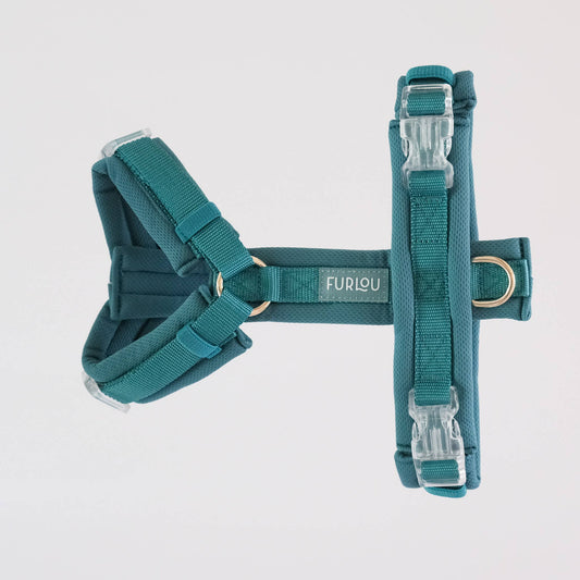 Teal Comfort Dog Harness