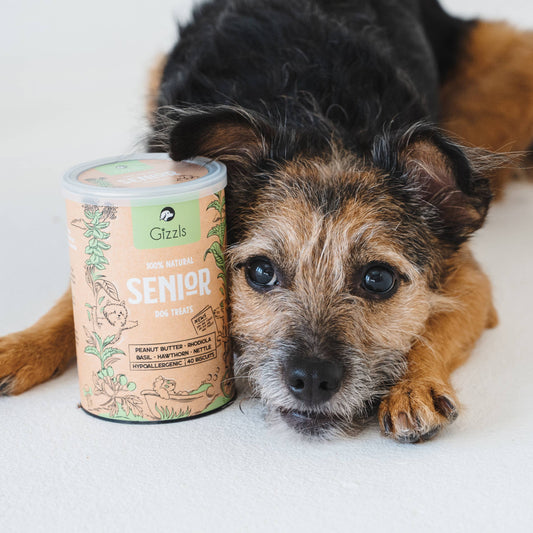 Gizzls 100% Natural Dog Treats for Seniors