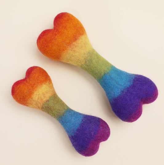Small Rainbow Wool Bone
