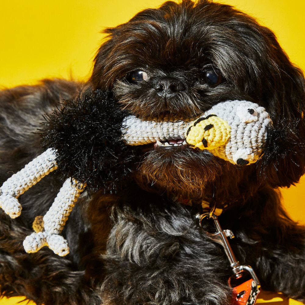 Hand Crochet Ostrich Dog Toy