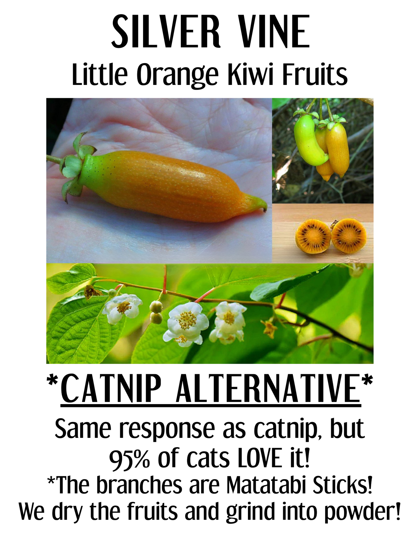 Organic Catnip & Silvervine Bean Bag Cat Toy