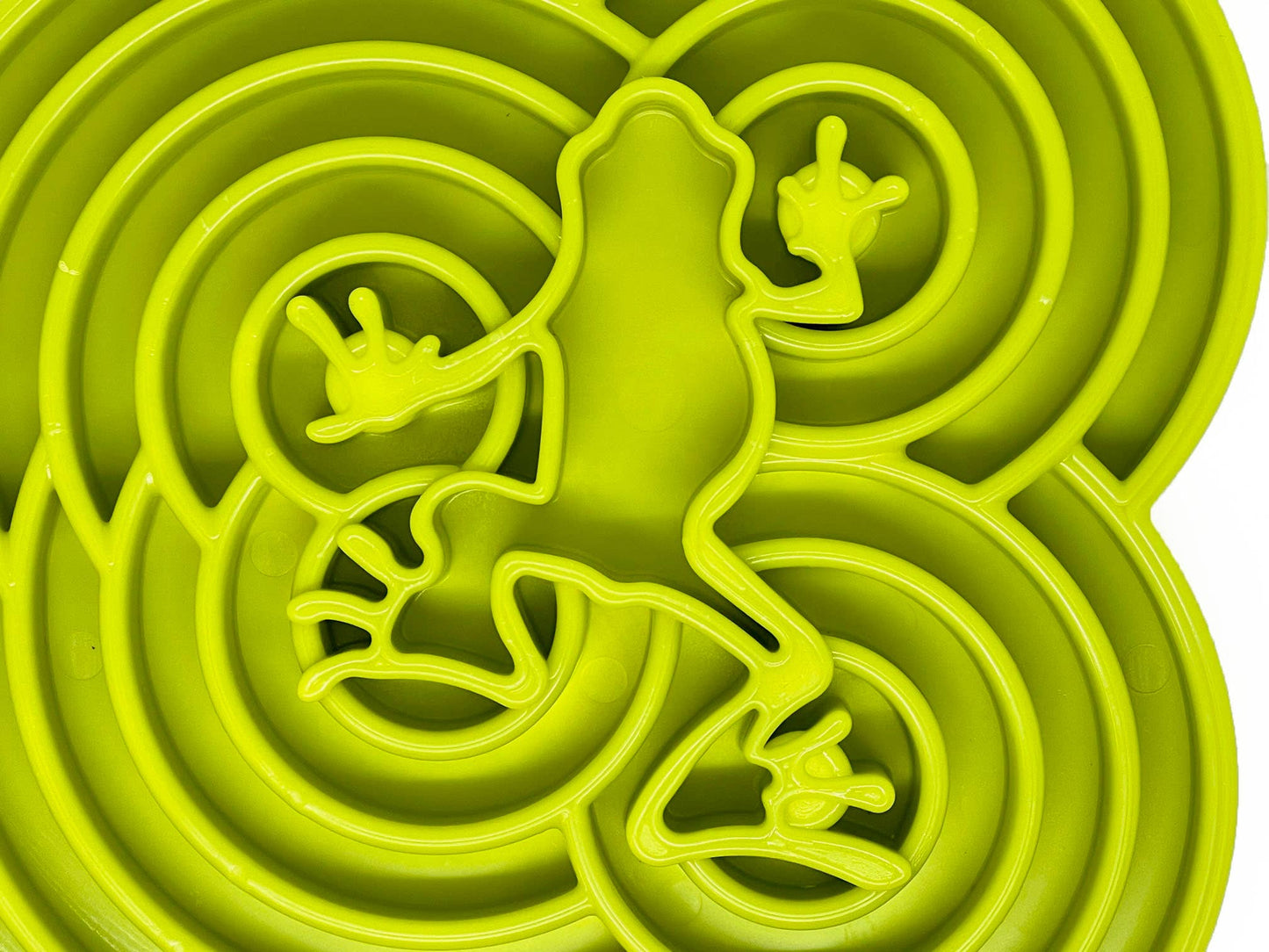 Water Frog Enrichment Tray