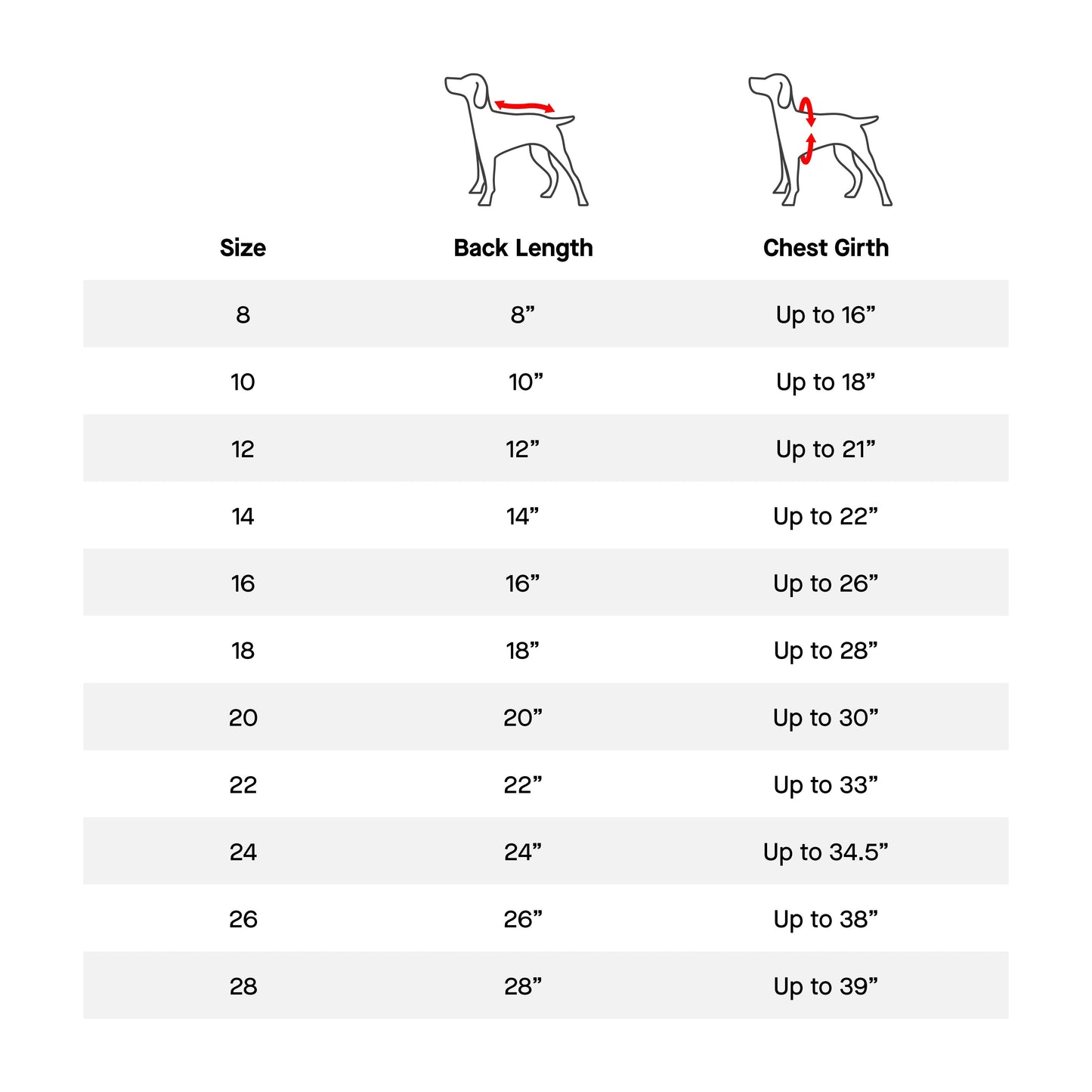 Cold Front Raincoat- Dog Raincoat: Orange / 14