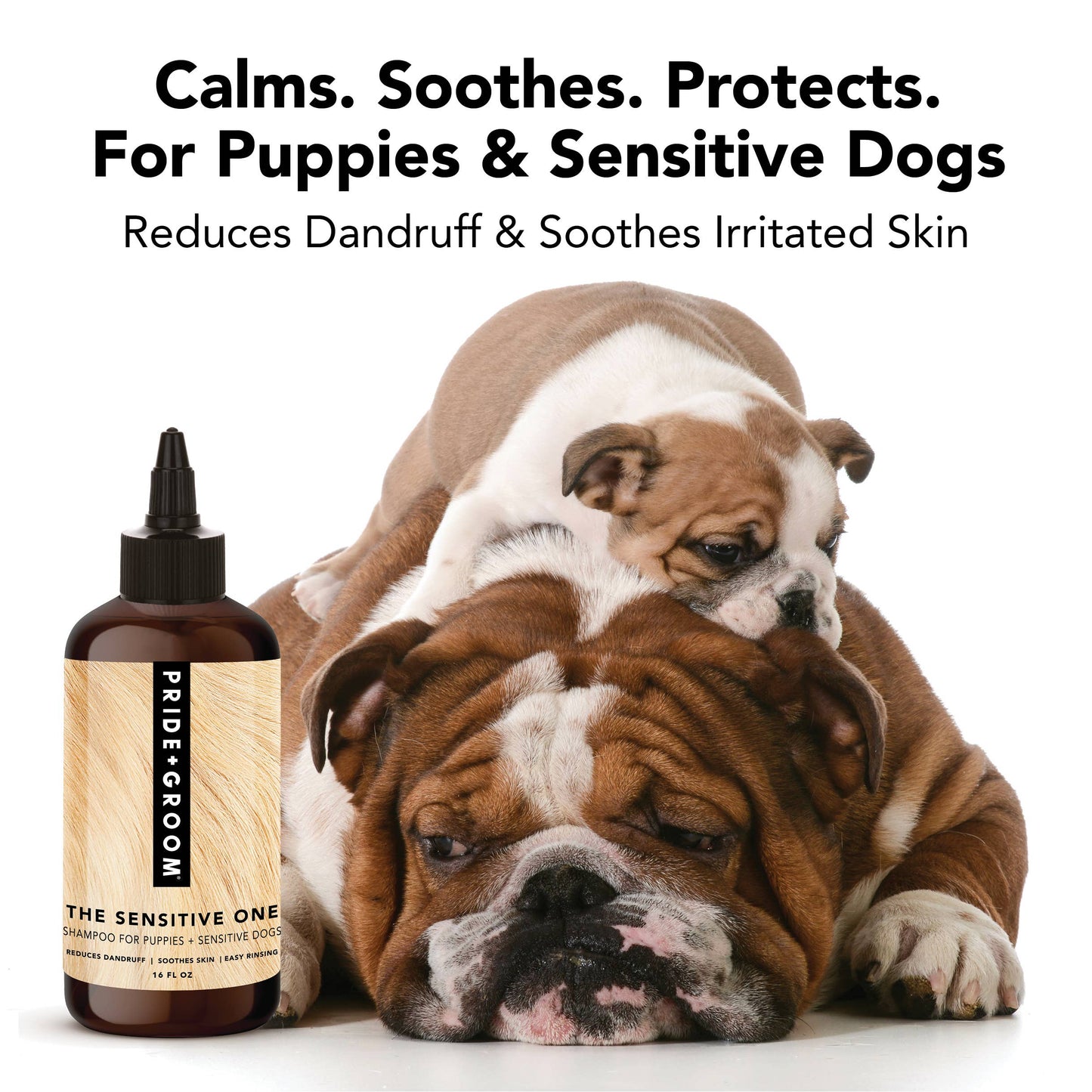 THE SENSITIVE ONE Shampoo, 12oz