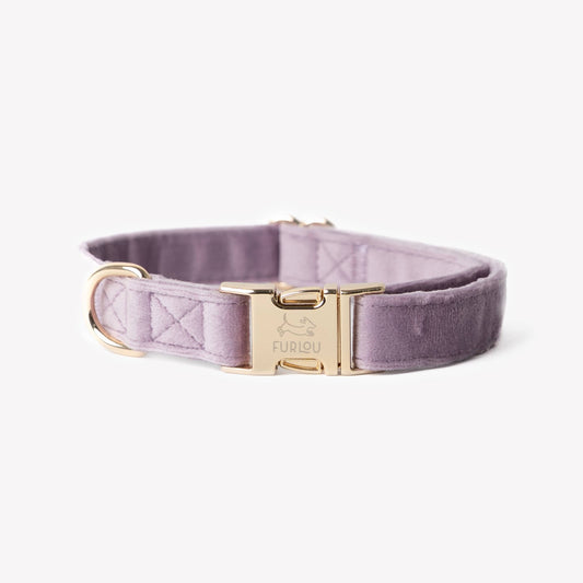 'Lilac' - Velvet Dog Collar: MEDIUM