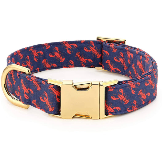 Catch of the Day Lobster Dog Collar