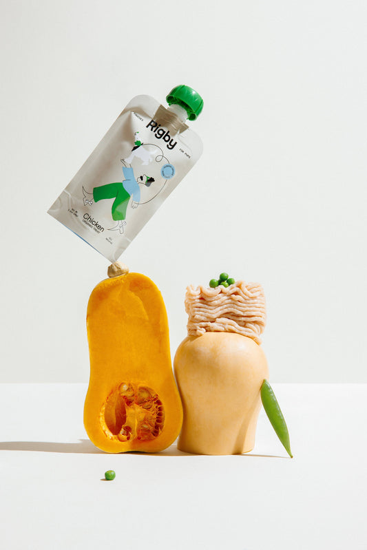Organic Chicken Squeeze Pouch for Dogs