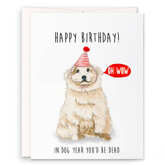 In Dog Year You’d Be Dead Funny Birthday Card