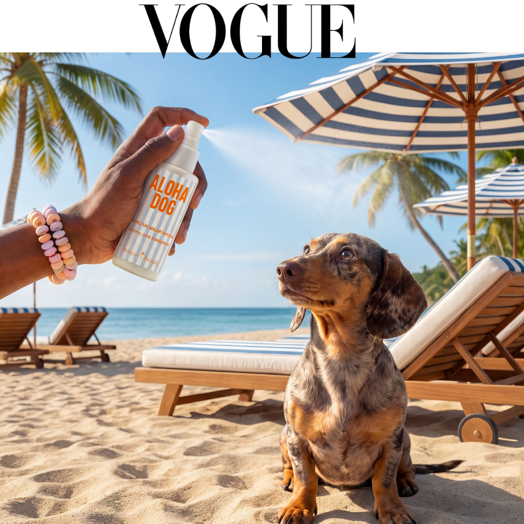 ALOHA DOG Natural Dog Sunscreen Spray SPF 30 – Dog Grooming