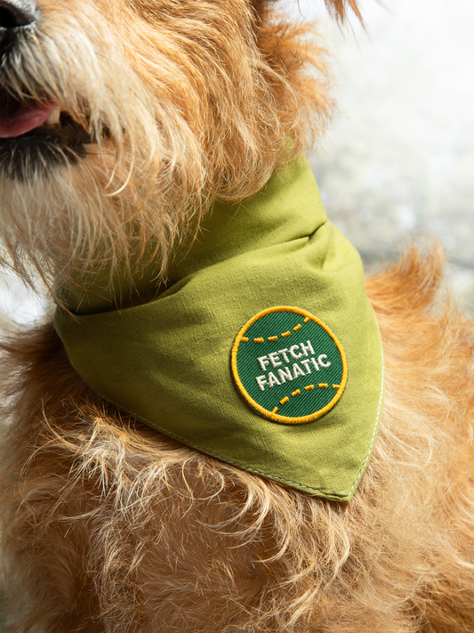 Fetch Fanatic Patch