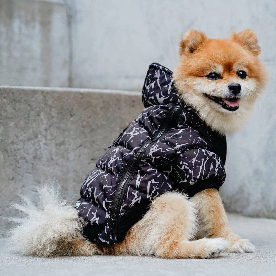 Prism Puffer- Dog Coat: Galaxy / 8