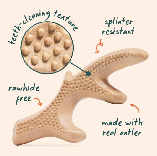 HonestChew: Infinity