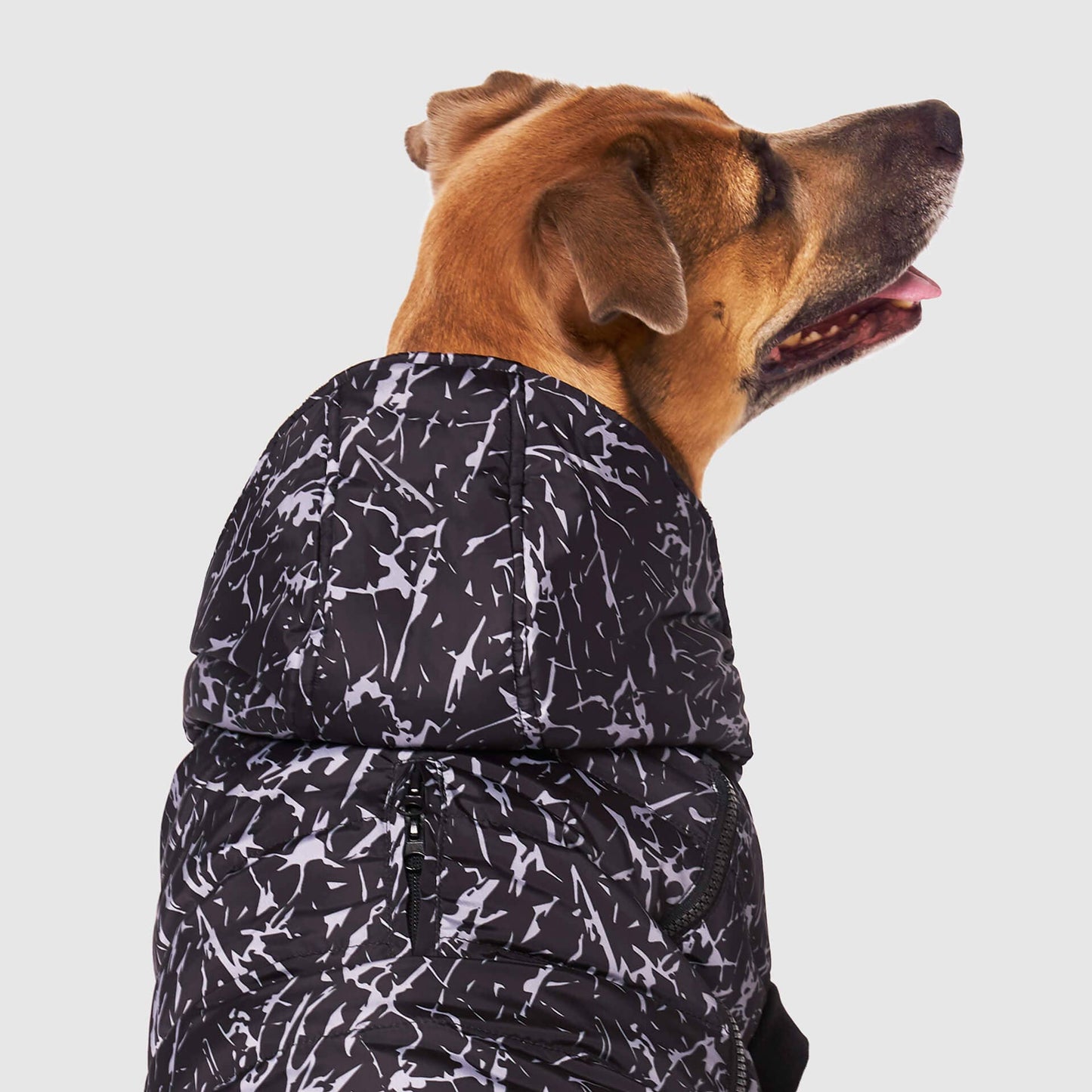 Prism Puffer- Dog Coat: Galaxy / 8