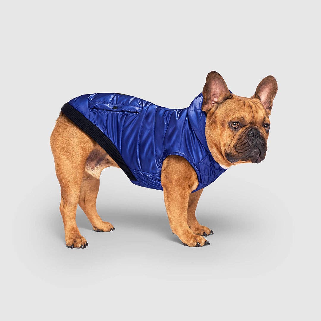 Shiny Puffer Vest- Dog Coat: Iridescent / 16