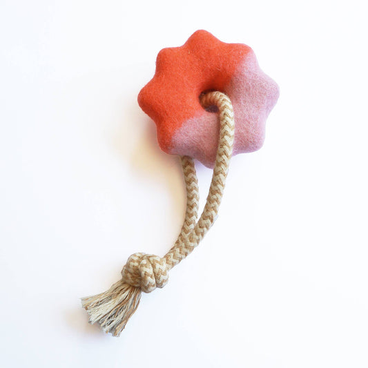 Wheely Felt Toy