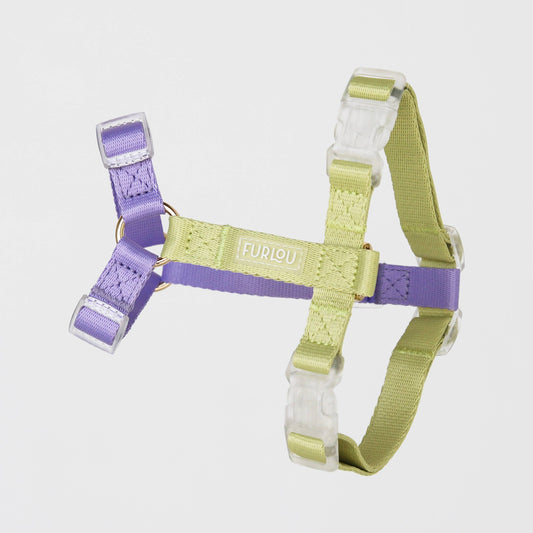 Lavender & Lime Dog Strap Harness