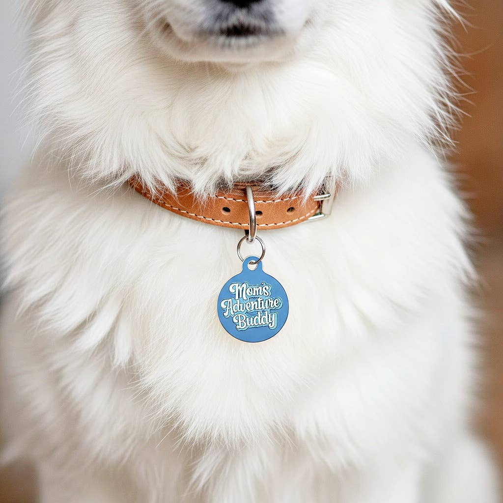 Dog ID Tag w/Scannable QR code - Adventure Buddy