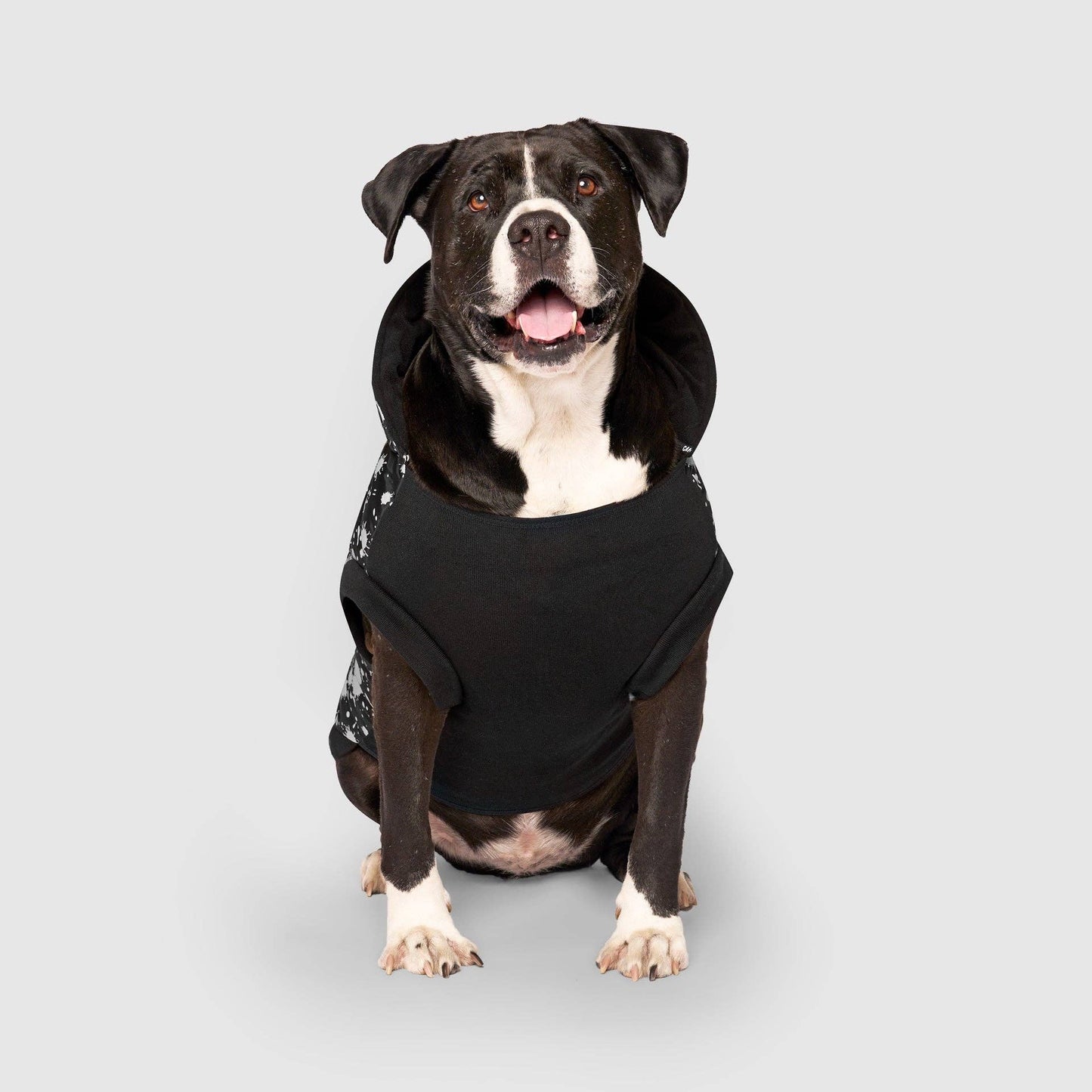 Prism Puffer- Dog Coat: Galaxy / 8
