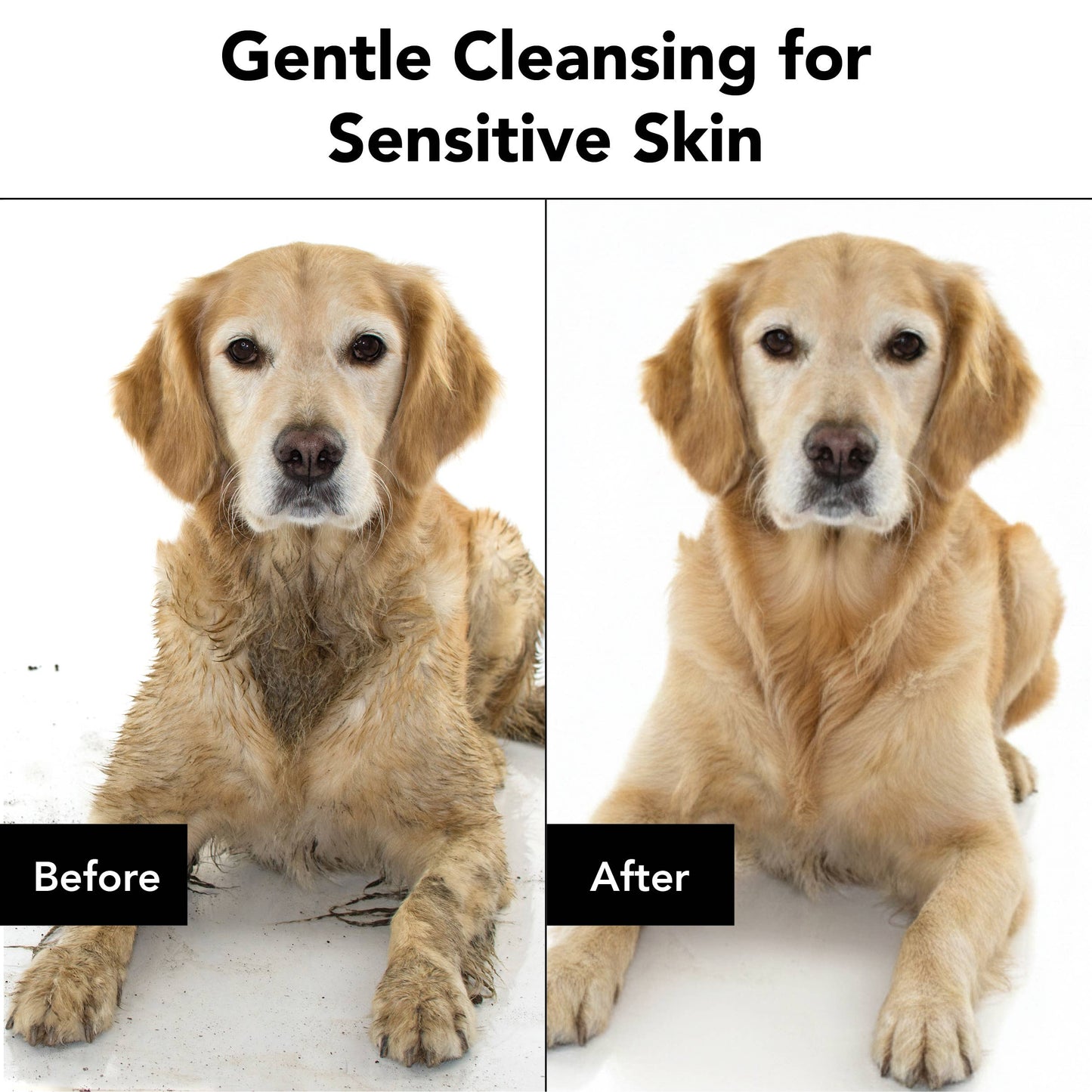 THE SENSITIVE ONE Shampoo, 12oz