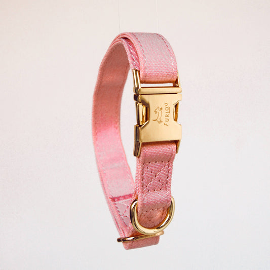 Rose Dog Collar