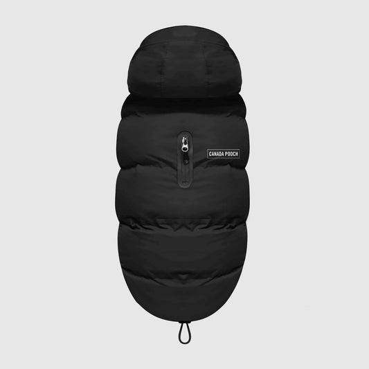 Waterproof Dog Puffer: Black / 18