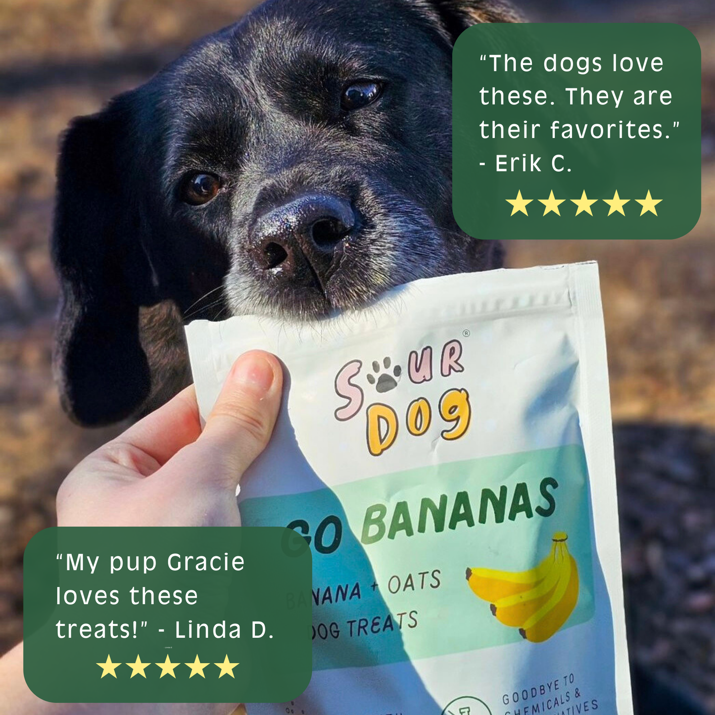 Go Bananas - Banana Sourdough Dog Treats