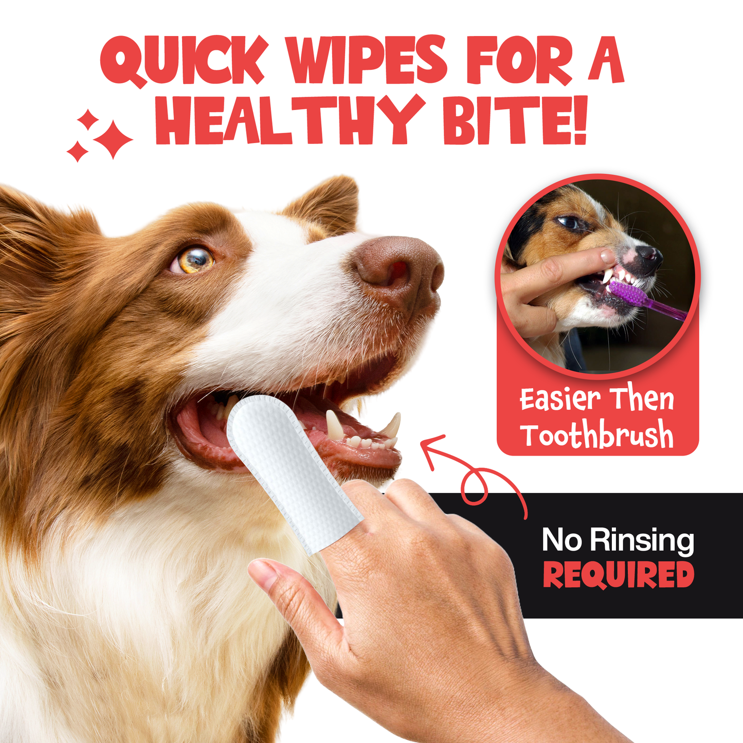 ROOFUS Dental Wipes – Gentle, Effective Oral Care for Dogs & Cats
