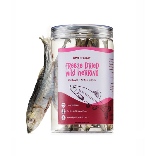 Freeze Dried Wild Herring Cat & Dog Treats
