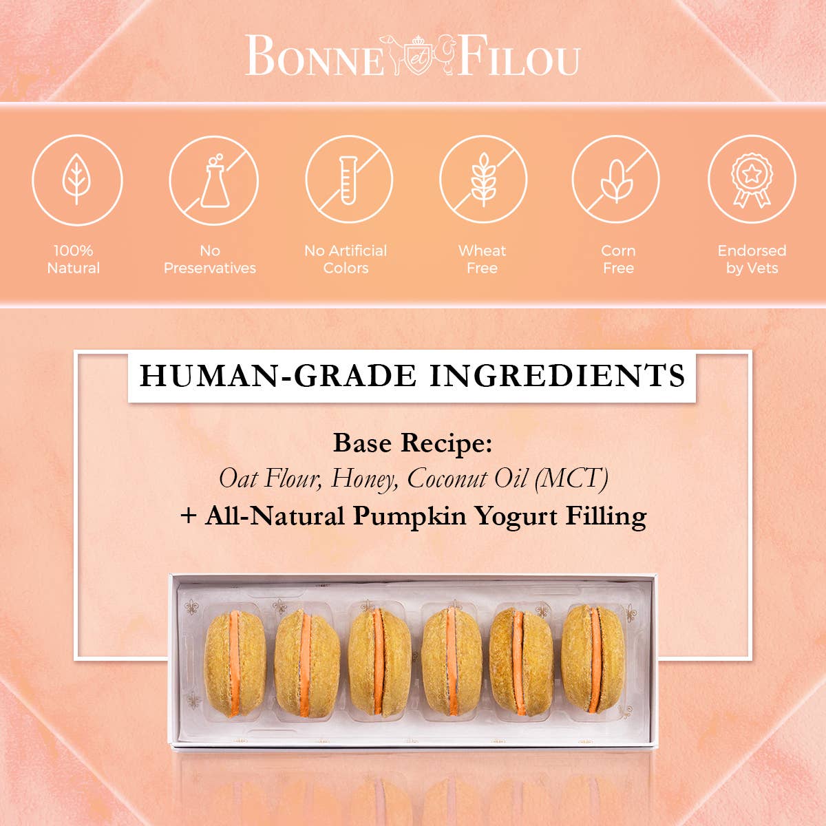 Bonne et Filou Dog Macarons | Pumpkin (3 count)