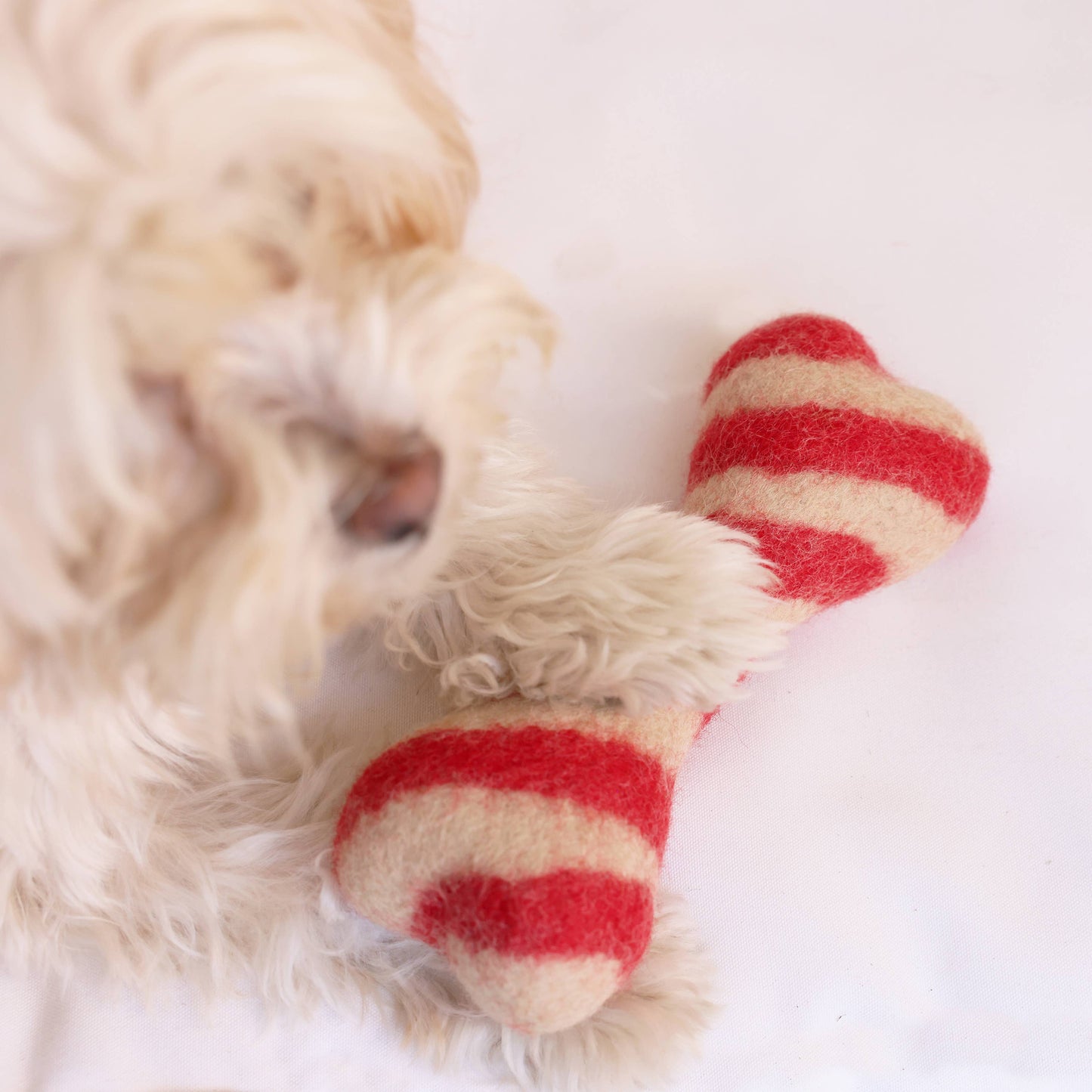 Modern Beast Candy Cane Wool Bone