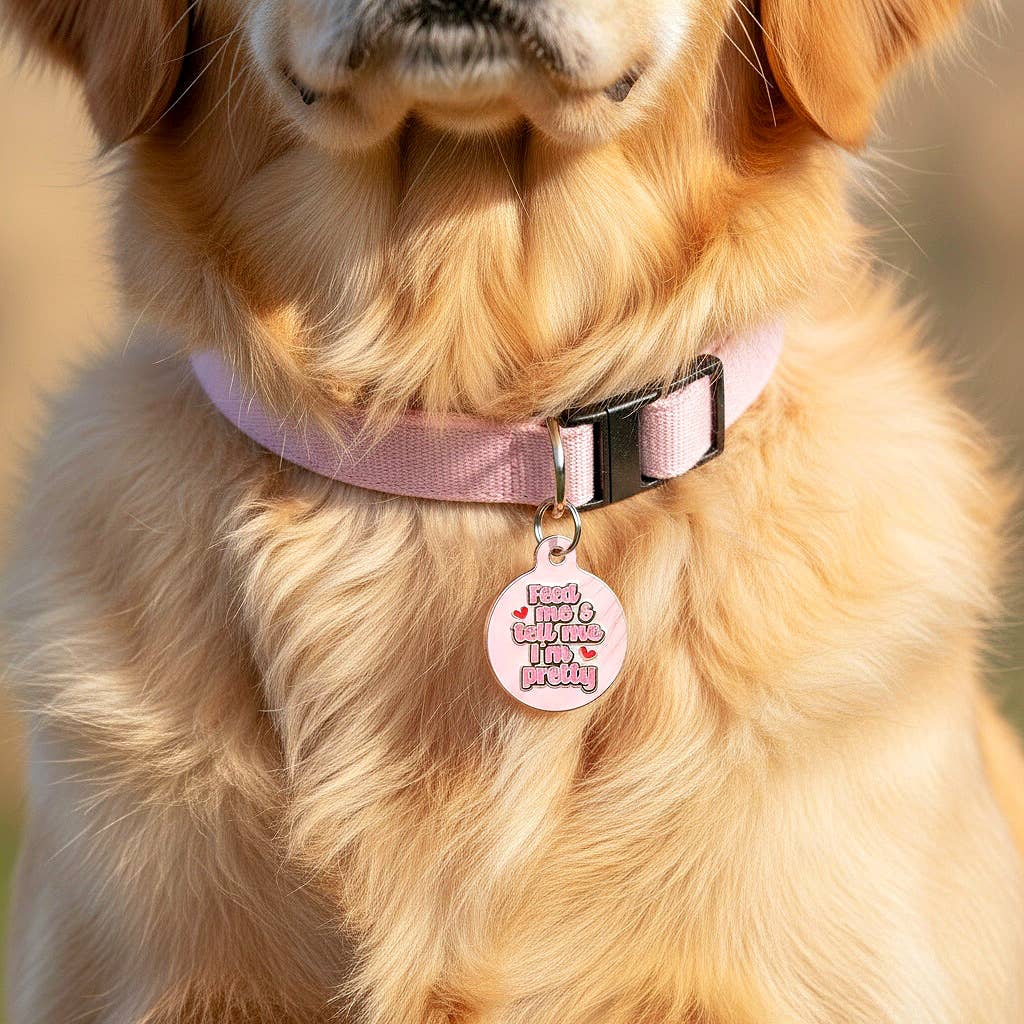 Dog ID Tag w/ Personalized QR Code - Tell Me I'm Pretty