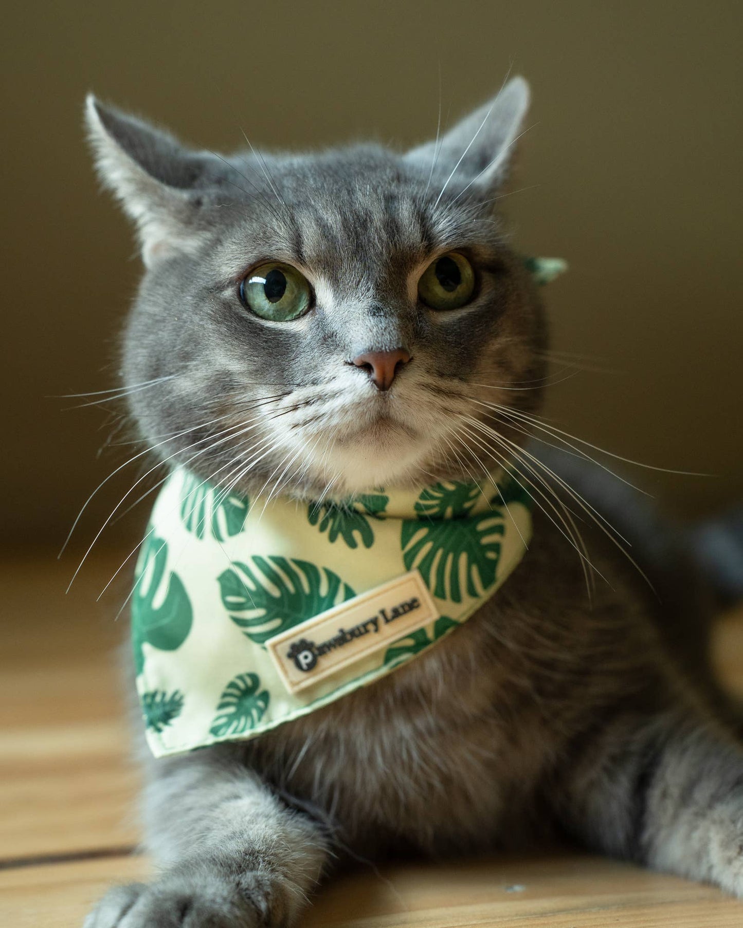 Matching Headband and Bandana - Monstera