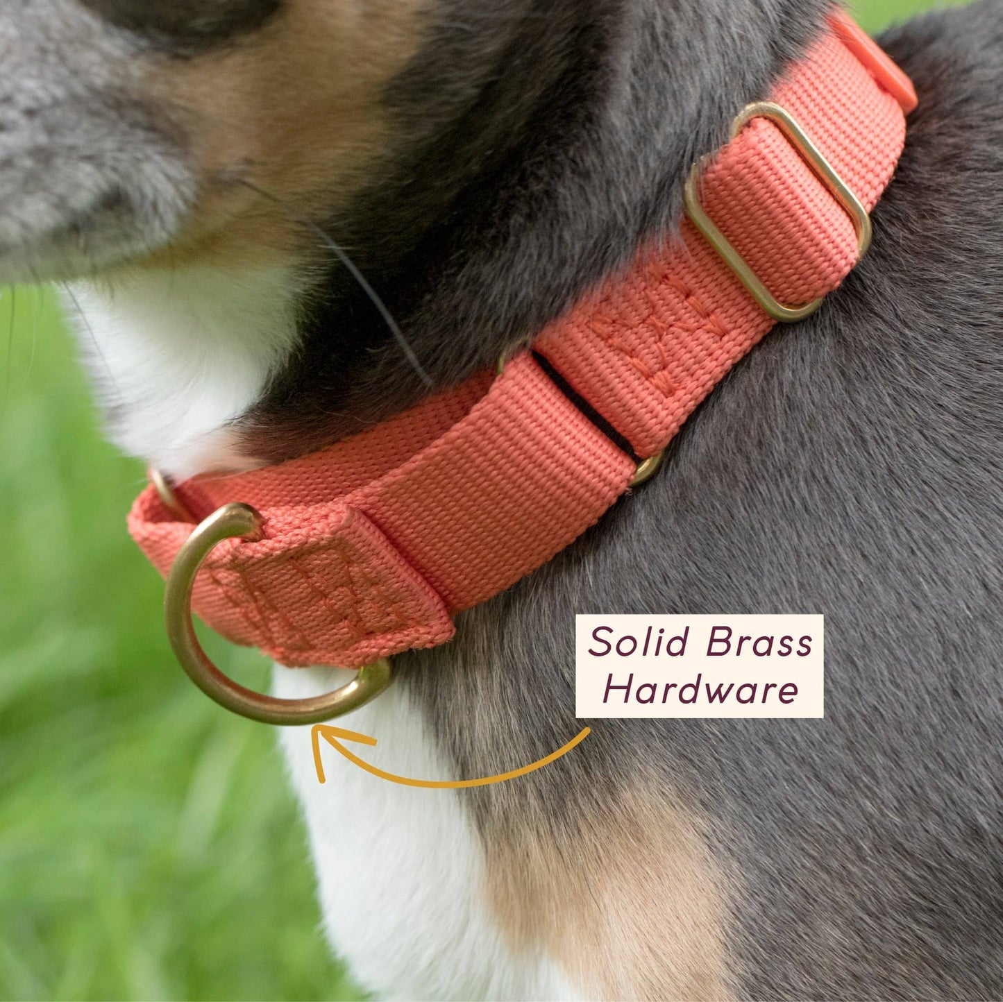 Marty Collar: NAVY / Large