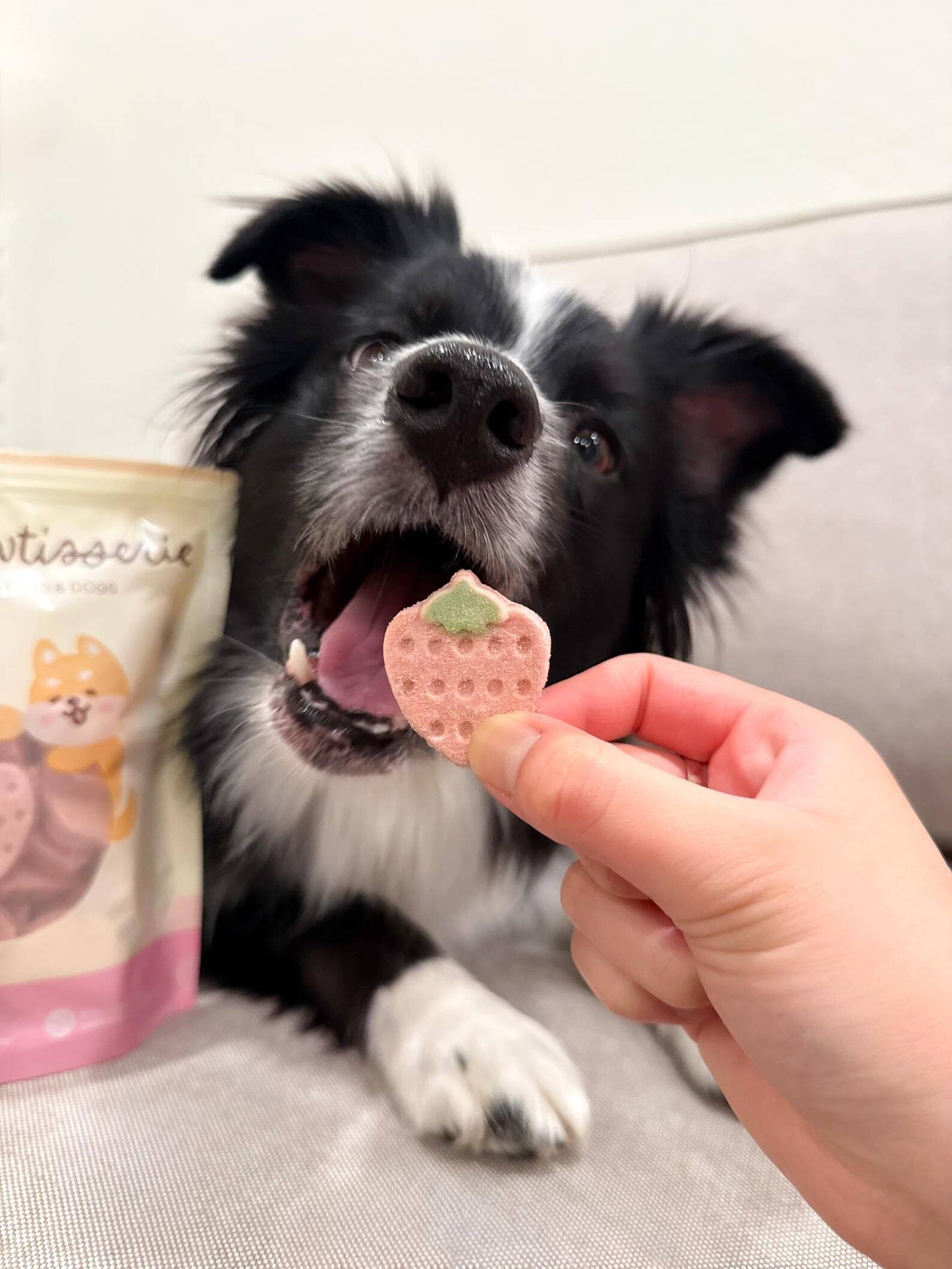 Freeze Dried Strawberry Yogurt Pet Treat for Cats & Dogs 40g