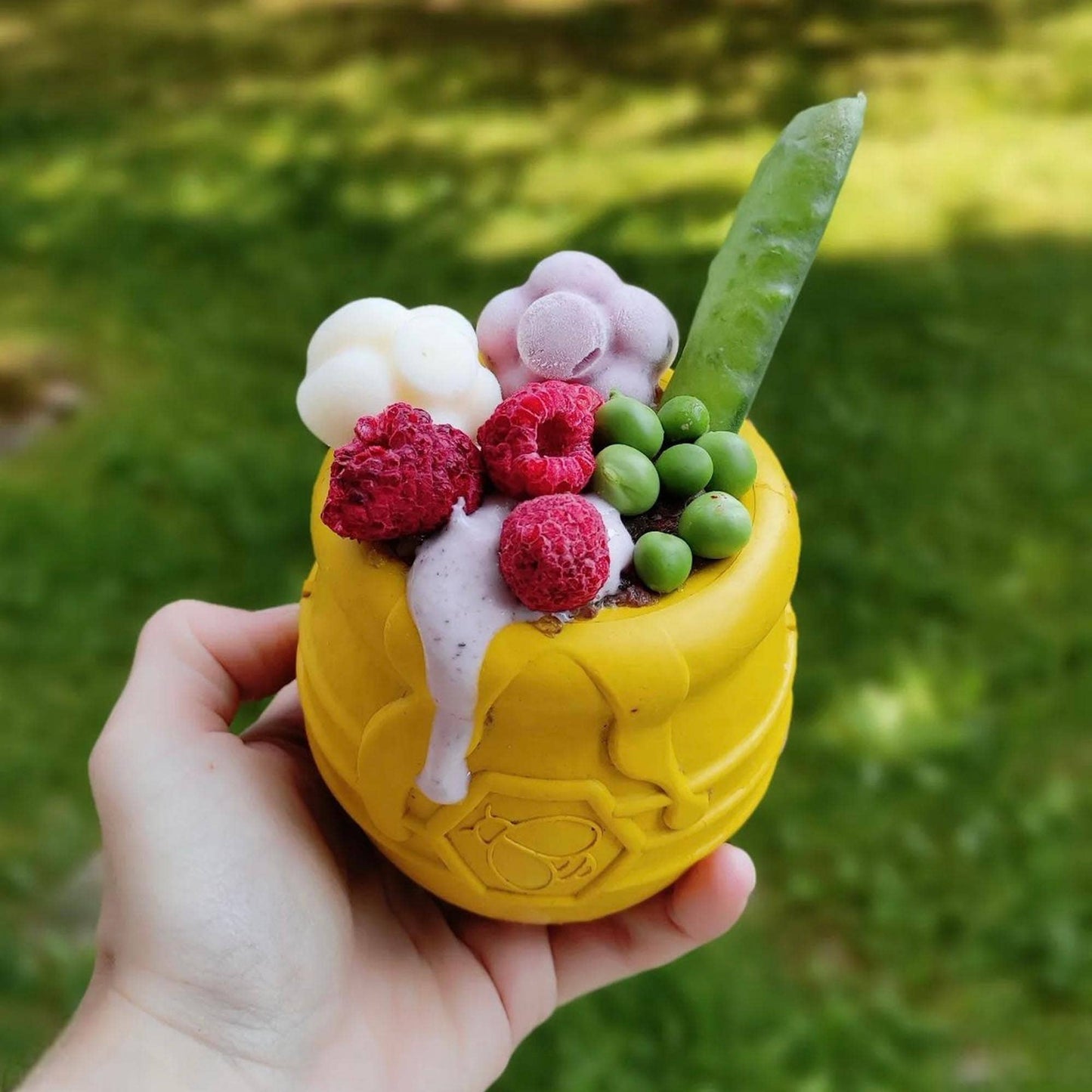 Large Honey Pot Treat Dispenser