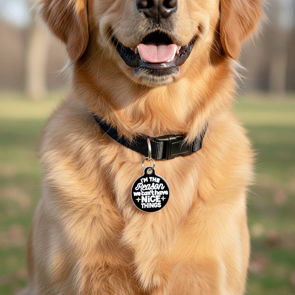 Dog ID Tag Charm - Can't Have Nice Things