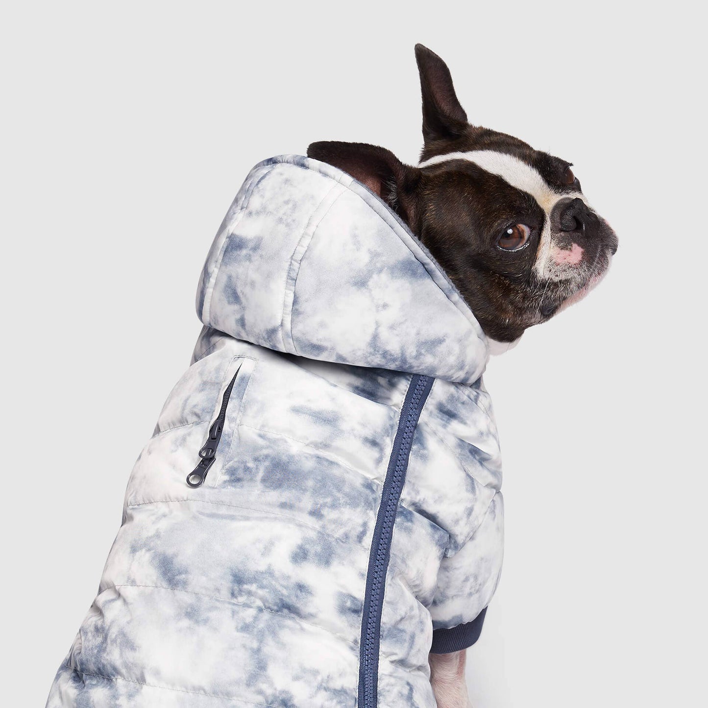 Prism Puffer- Dog Coat: Galaxy / 8