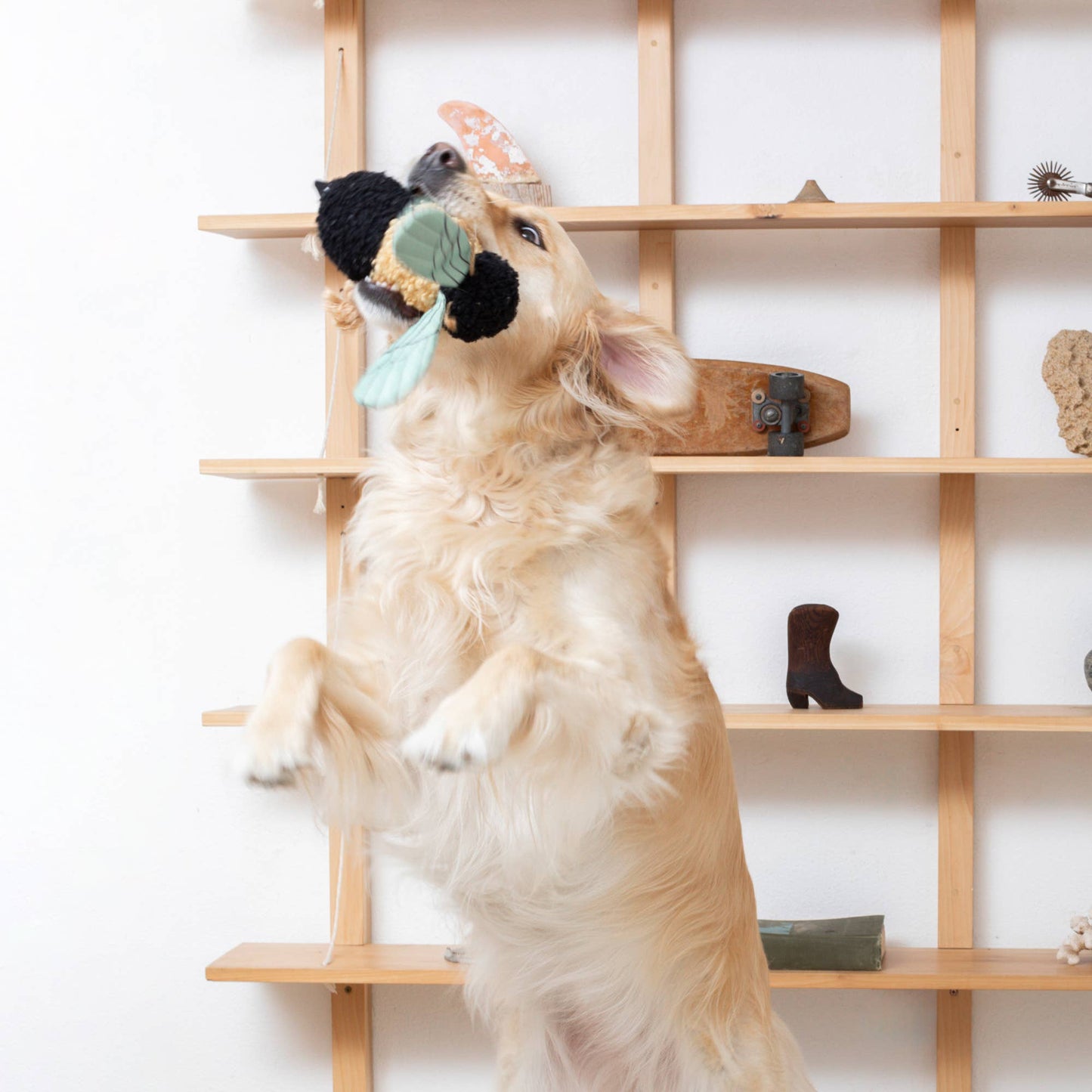 MS MRS. BEE MIXED MATERIAL DOG TOY